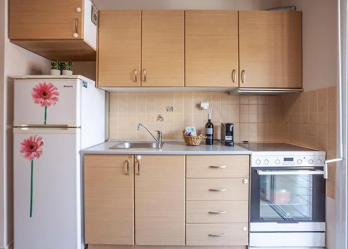 Cute Apartment 20M From Beach