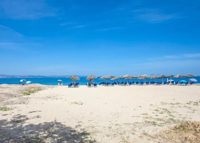 Cute Apartment 20M From Beach